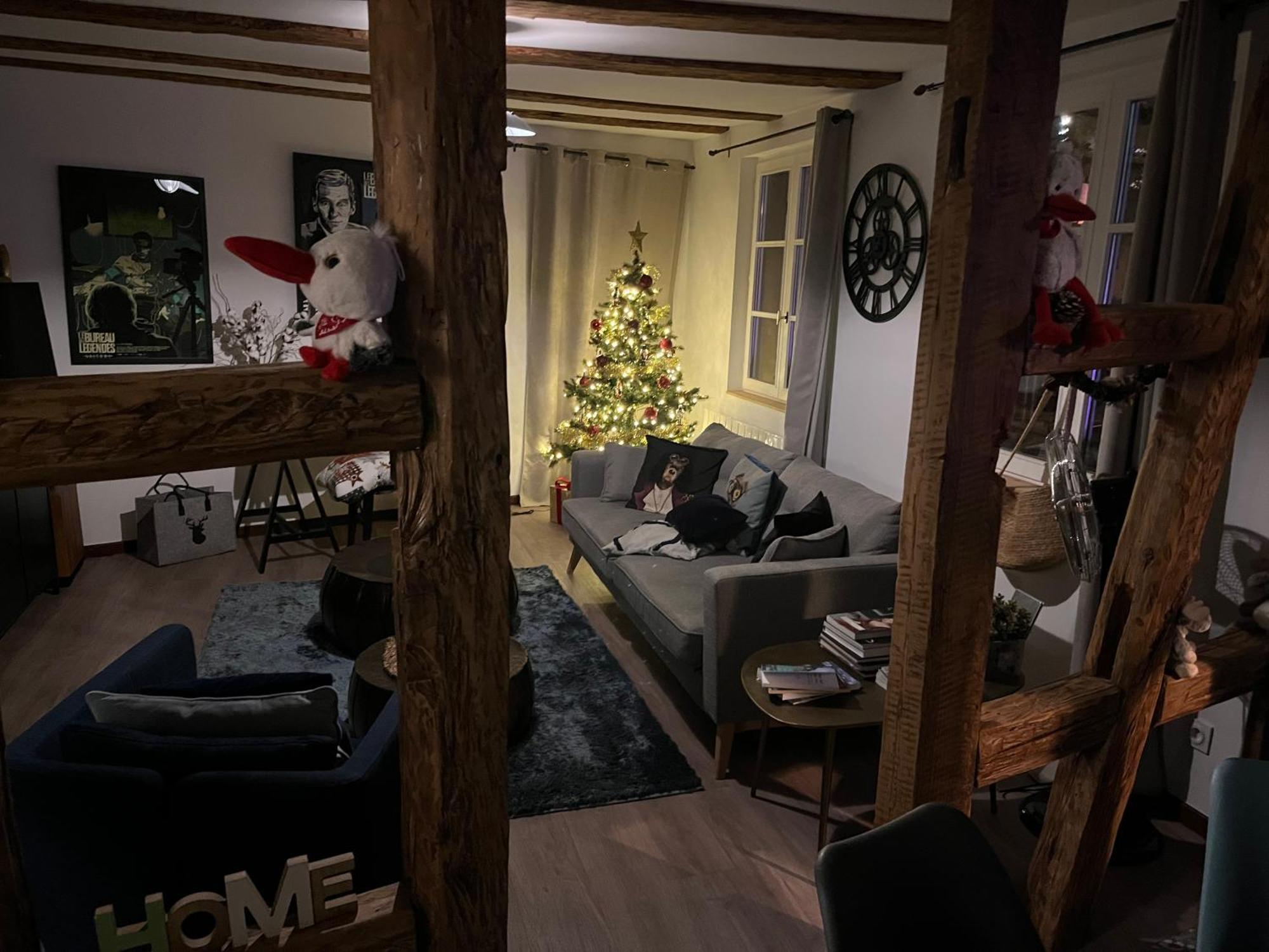 Apartment Le Schdorky Colmar